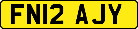 FN12AJY