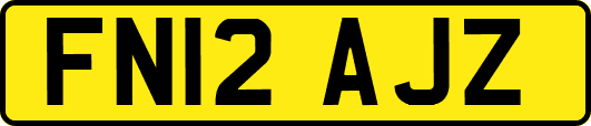 FN12AJZ
