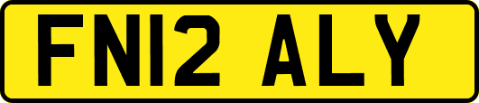 FN12ALY