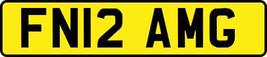 FN12AMG