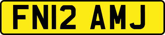 FN12AMJ