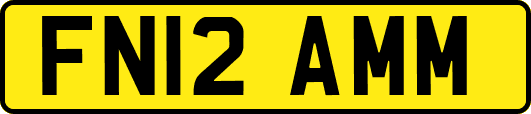 FN12AMM