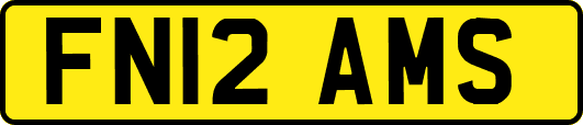 FN12AMS