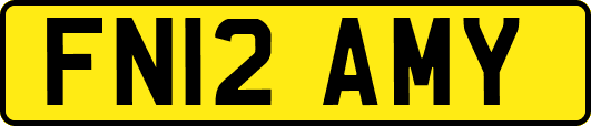 FN12AMY