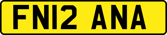 FN12ANA
