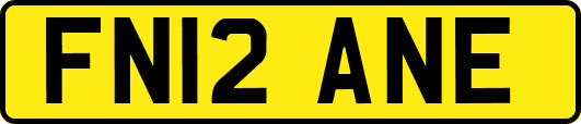 FN12ANE