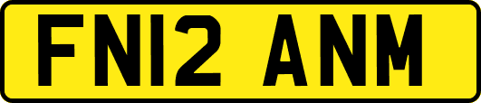 FN12ANM