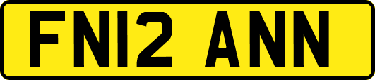 FN12ANN
