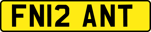 FN12ANT