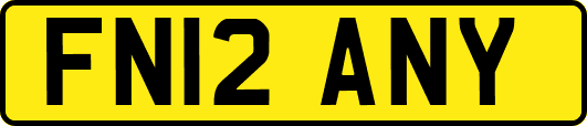 FN12ANY