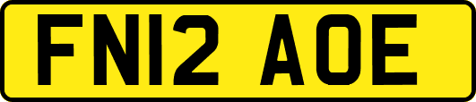 FN12AOE