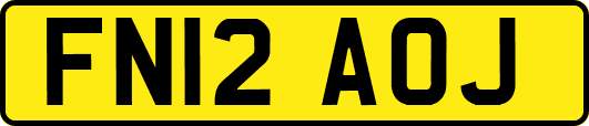 FN12AOJ