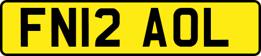 FN12AOL