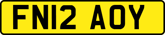 FN12AOY