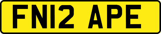 FN12APE