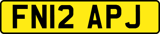 FN12APJ