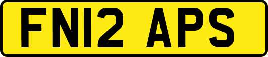 FN12APS