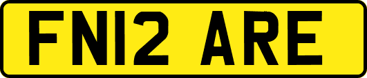 FN12ARE