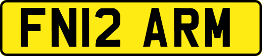 FN12ARM