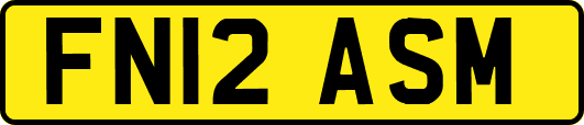 FN12ASM