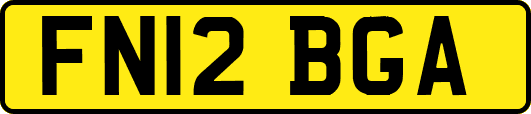 FN12BGA