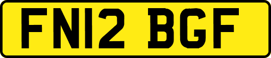FN12BGF
