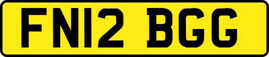 FN12BGG