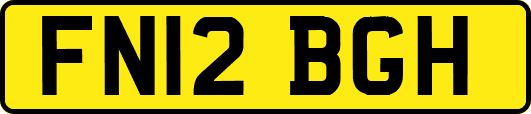 FN12BGH