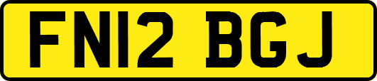 FN12BGJ