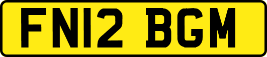 FN12BGM
