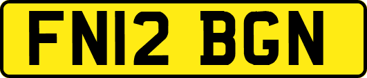 FN12BGN