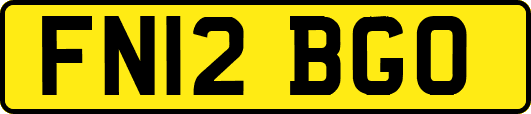FN12BGO