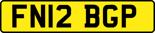 FN12BGP