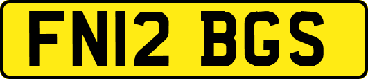 FN12BGS
