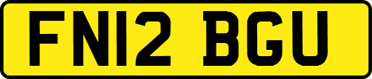FN12BGU