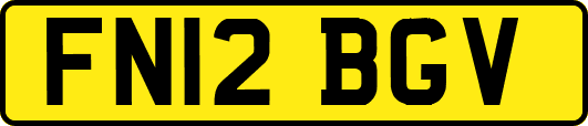 FN12BGV