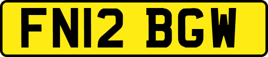 FN12BGW
