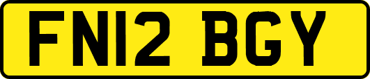 FN12BGY