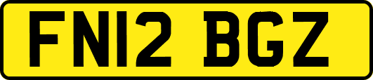 FN12BGZ