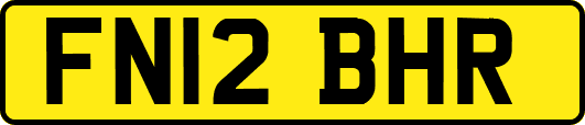FN12BHR