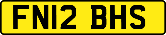 FN12BHS