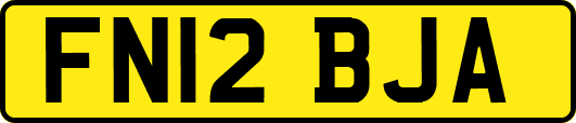 FN12BJA