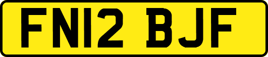 FN12BJF