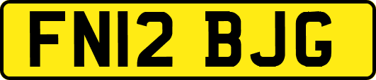 FN12BJG