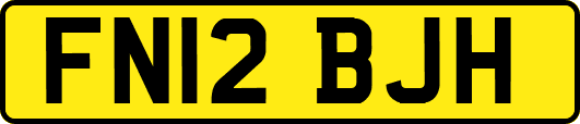 FN12BJH