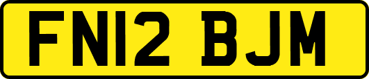 FN12BJM