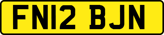 FN12BJN