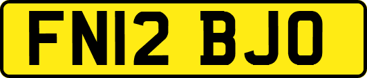 FN12BJO