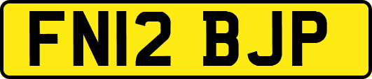 FN12BJP