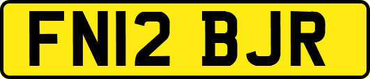 FN12BJR